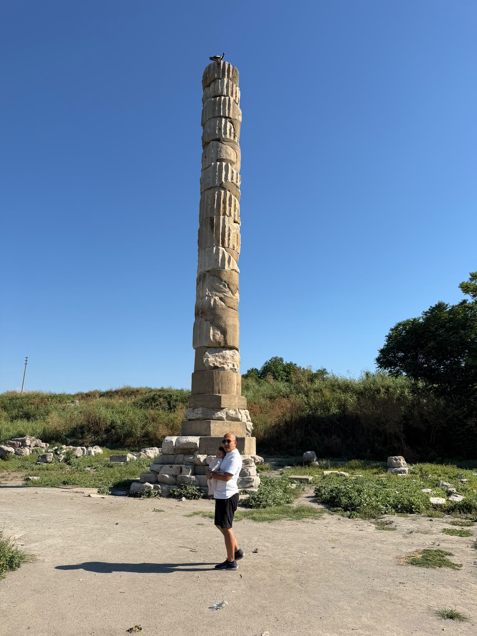 Efes Artemis Tapınağı'nın ayakta kalan sütunu